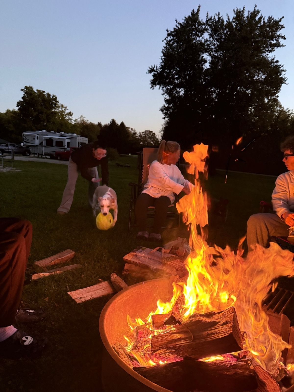 A campfire at dusk with one of our dogs resting nearby