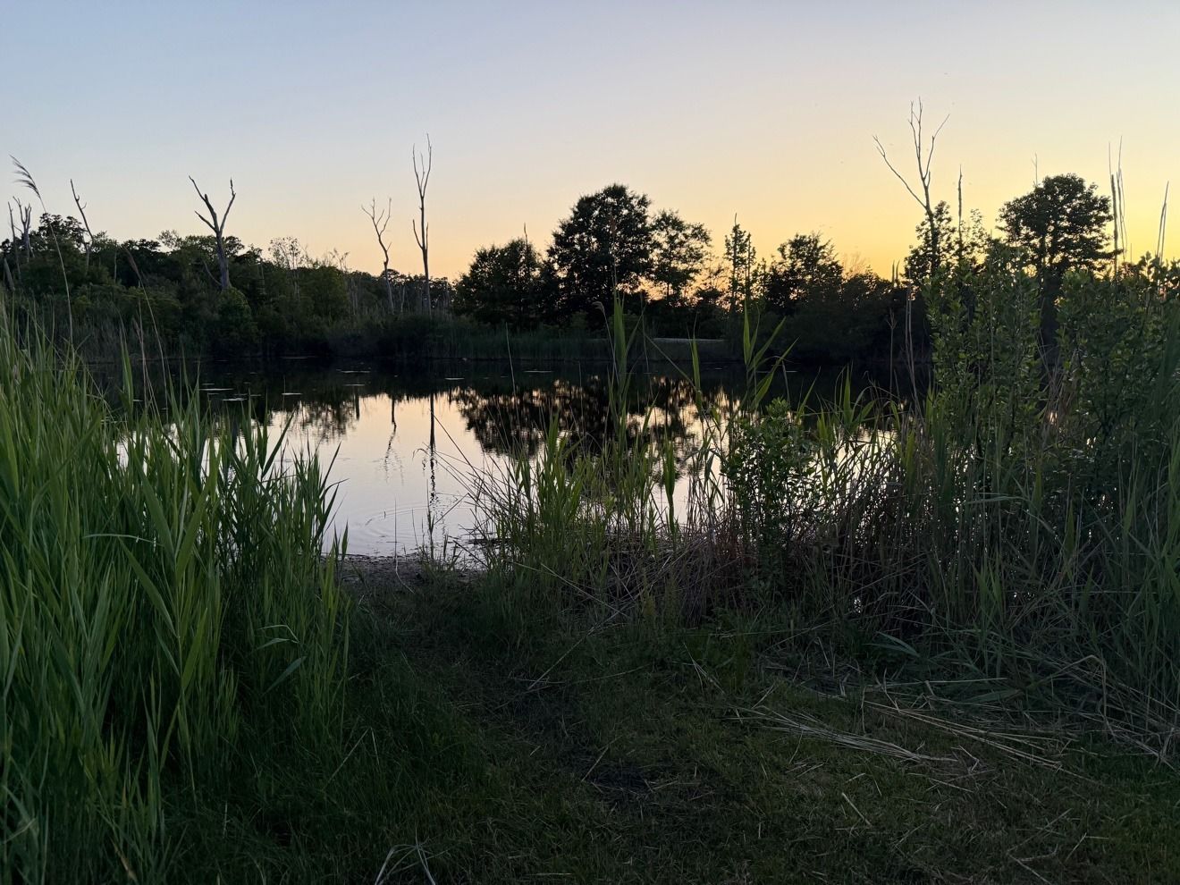 A pond at sunset at one of our stops